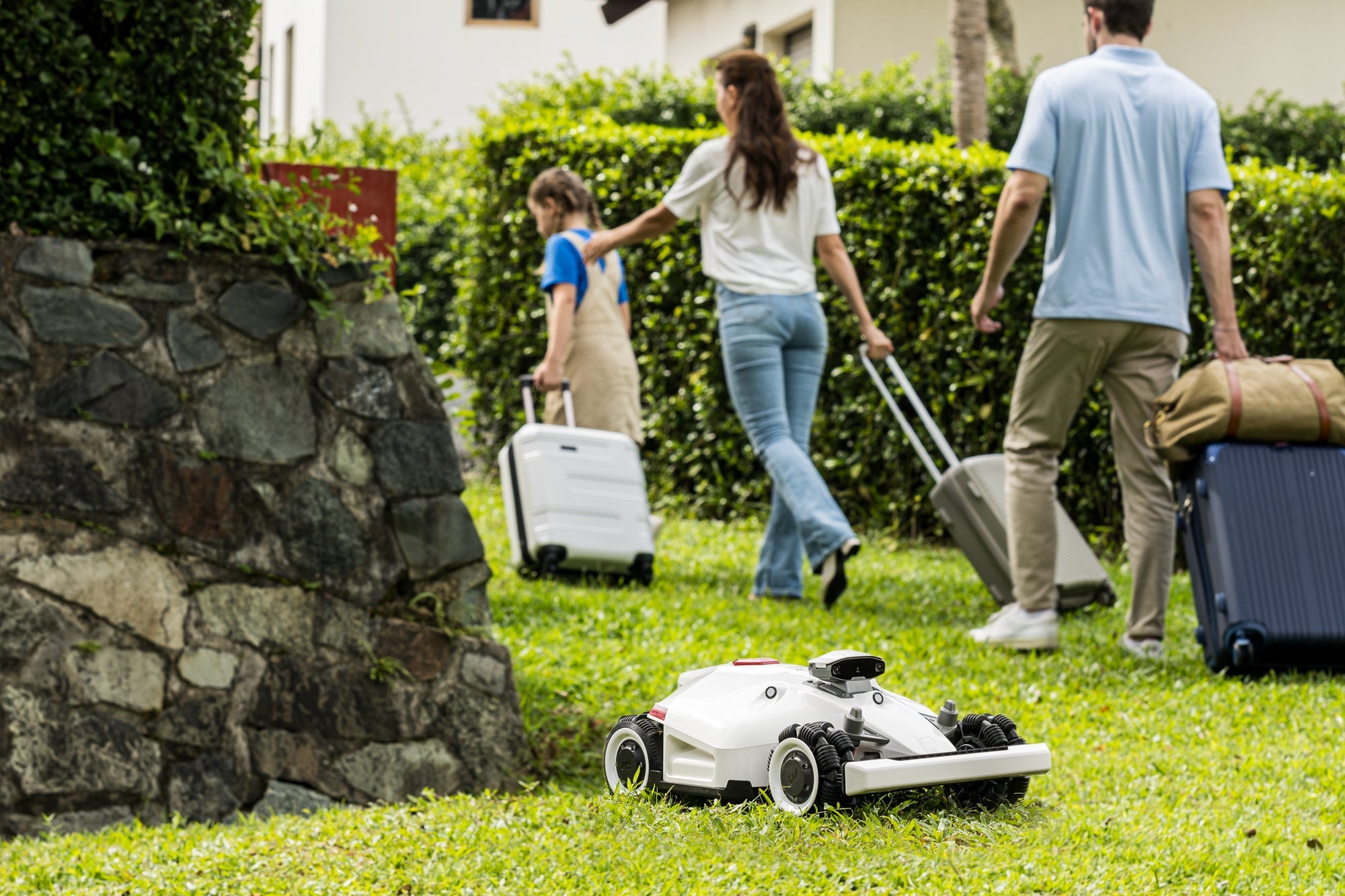 files/Freshly-Cut-Lawn.jpg